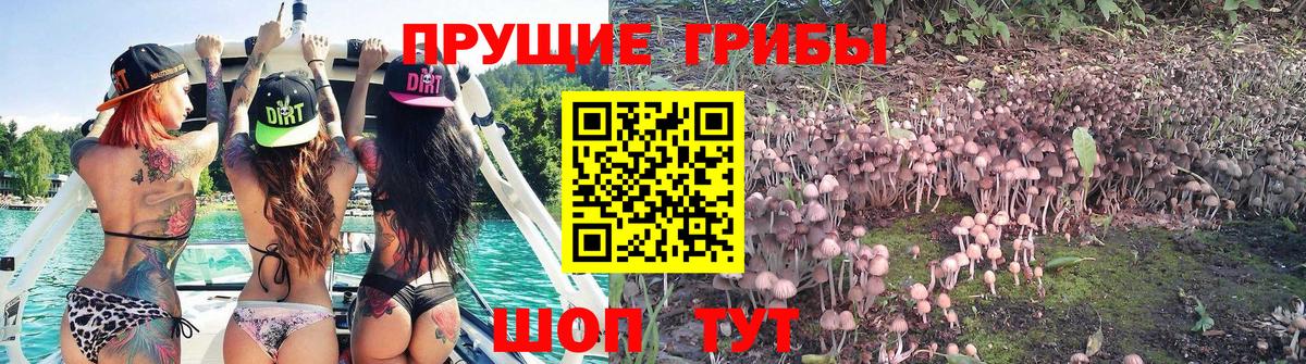 Галлюциногенные грибы мицелий Серов