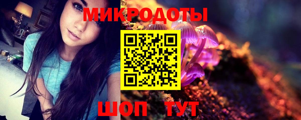Псилоцибиновые грибы Psilocybe  хочу   Серов  Вход с VPN 